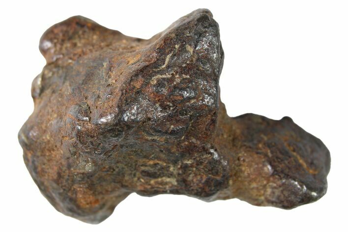 Sericho Pallasite Meteorite ( g) Metal Skeleton #267130